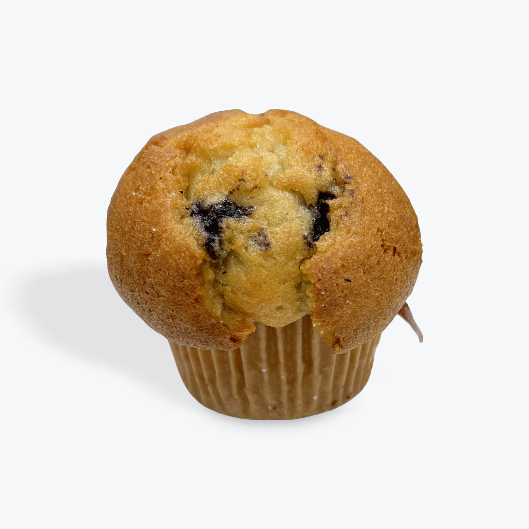 Blueberry Muffin