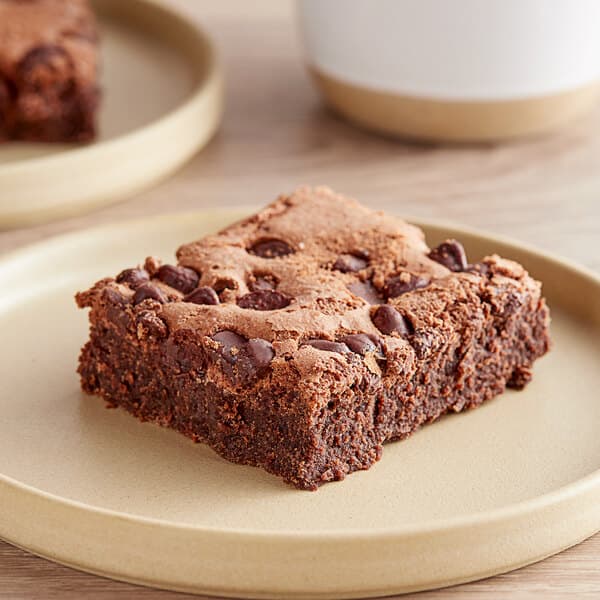 Chocolate Chip Brownie